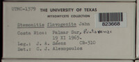 Image Associated With the Occurence